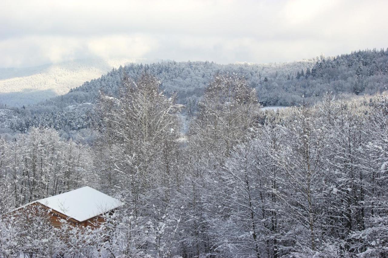 Domaine De Ribeaugoutte Villa Saint-Nabord Exterior foto